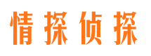 柳州市调查公司